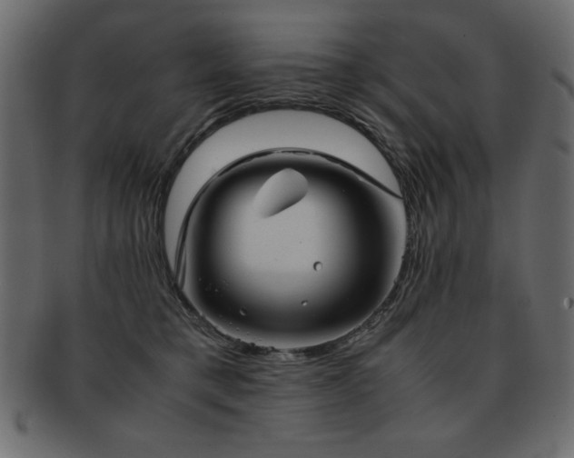 X0000093120421200709261332