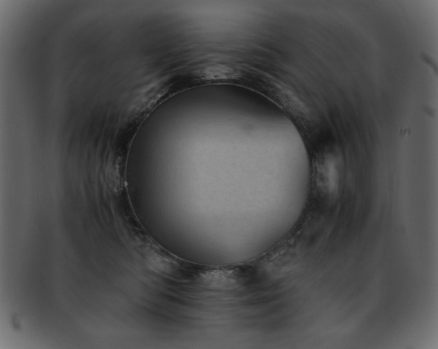 X0000093120422200709261332