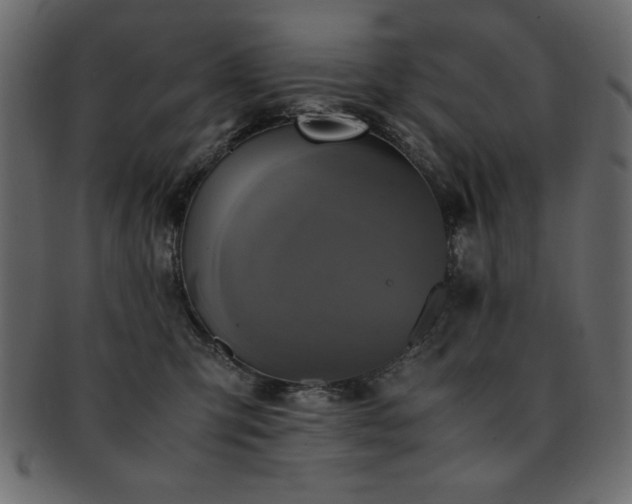 X0000093120423200709261332