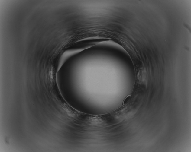 X0000093120424200709261332