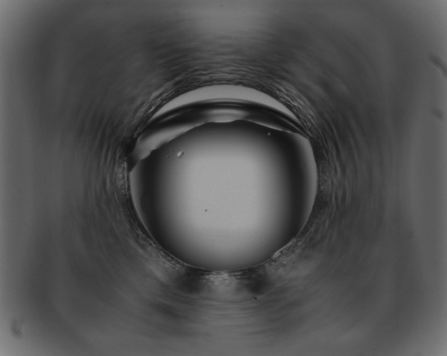 X0000093120425200709261332