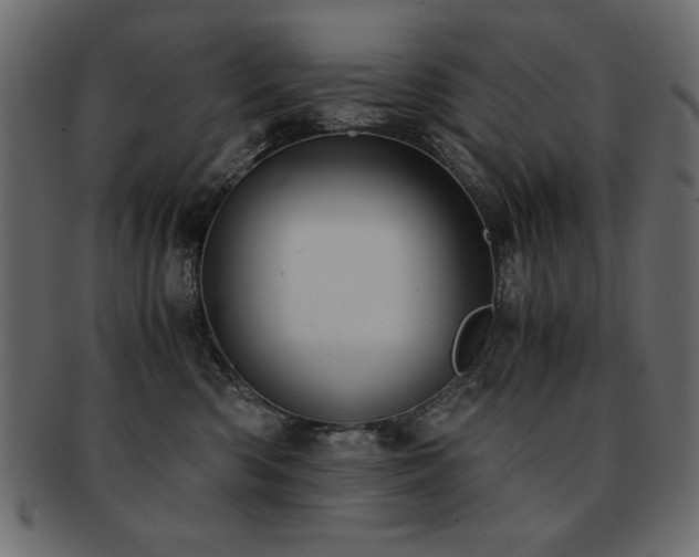 X0000093120426200709261332