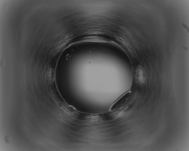 X0000093120428200709261332