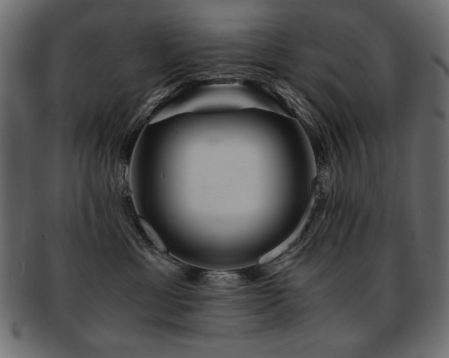 X0000093120429200709261332