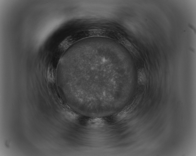 X0000093120431200709261332
