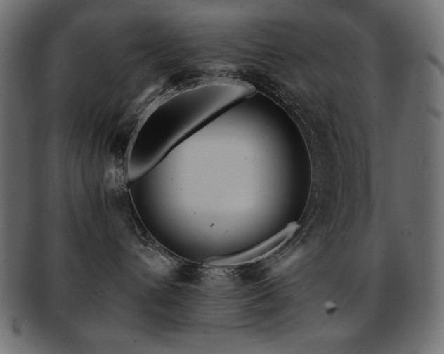 X0000093120432200709261332