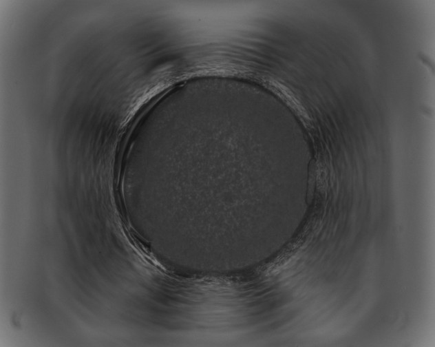 X0000093120434200709261331