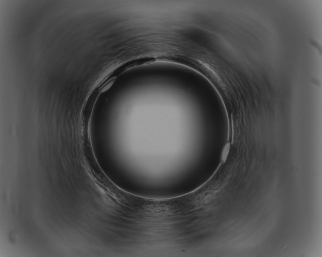 X0000093120435200709261331