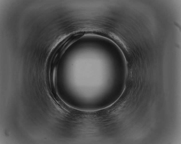 X0000093120436200709261331