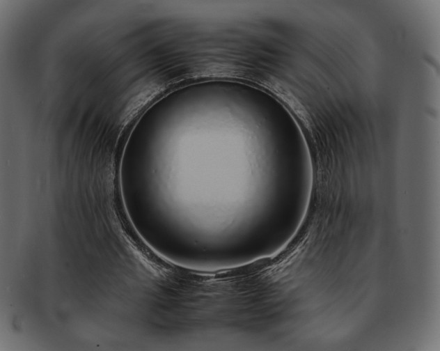 X0000093120437200709261331