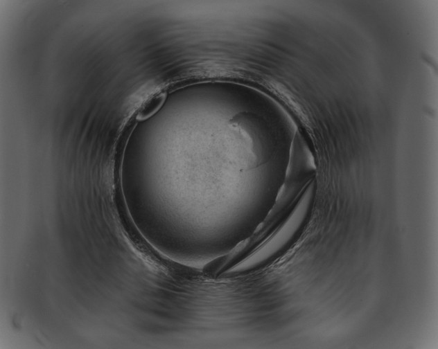 X0000093120438200709261331