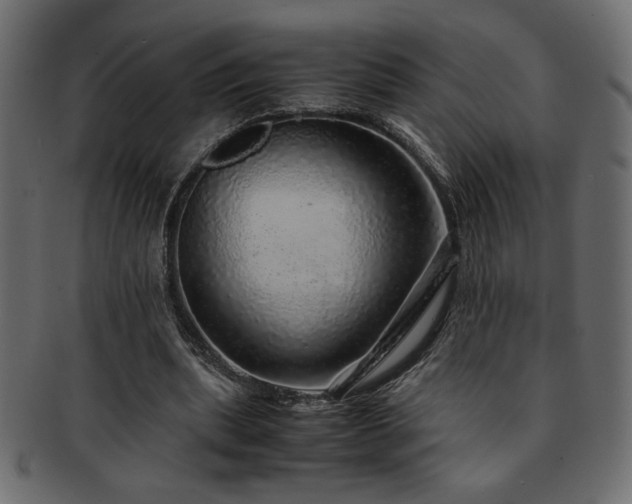 X0000093120439200709261331