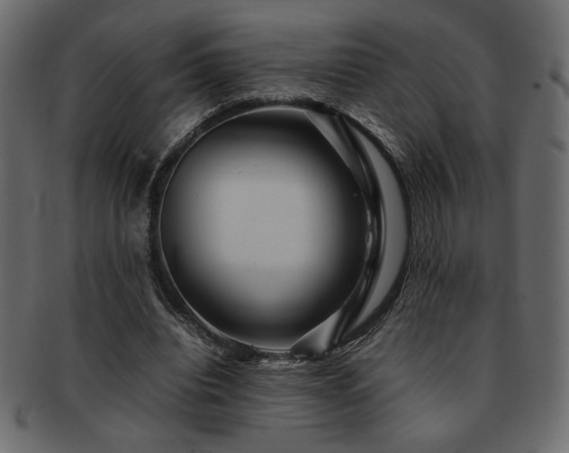 X0000093120440200709261331