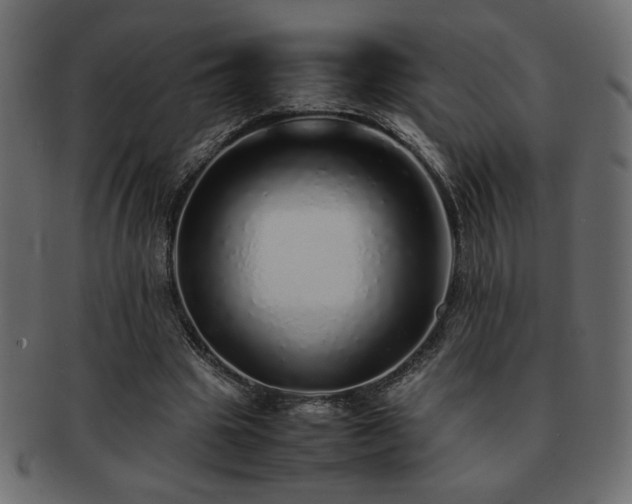 X0000093120441200709261331