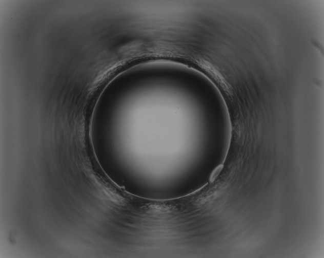 X0000093120442200709261331