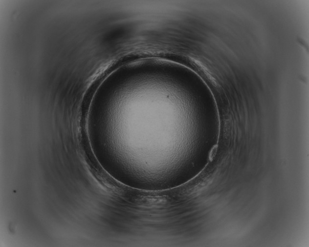 X0000093120443200709261331