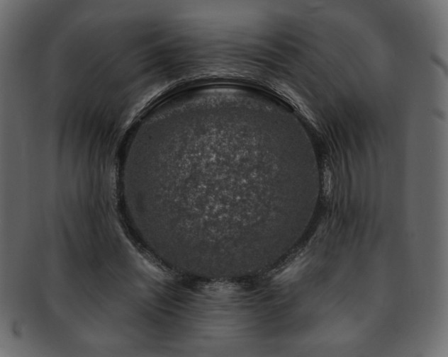 X0000093120444200709261331