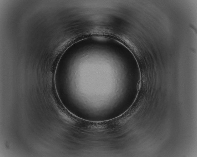 X0000093120445200709261331