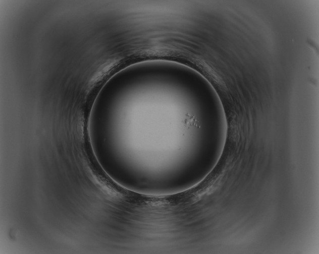 X0000093120446200709261331