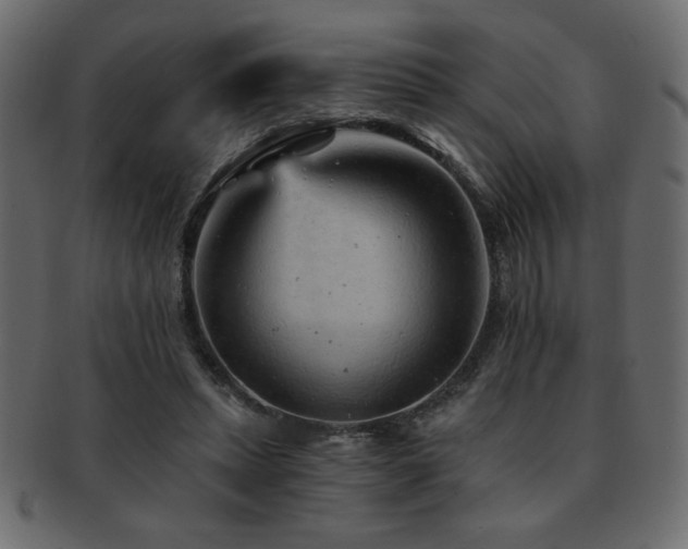 X0000093120447200709261331