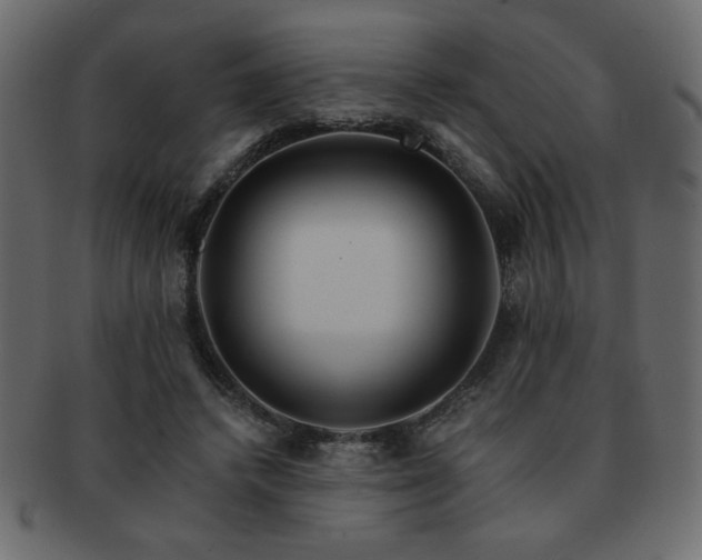X0000093120448200709261331