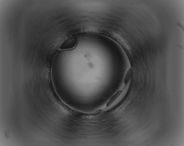 X0000093120449200709261331
