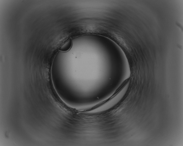 X0000093120450200709261331