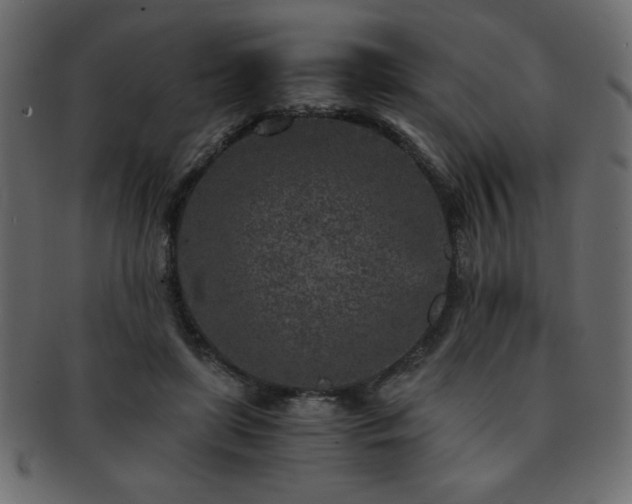 X0000093120451200709261331