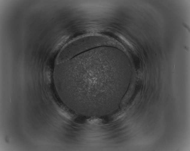 X0000093120452200709261331