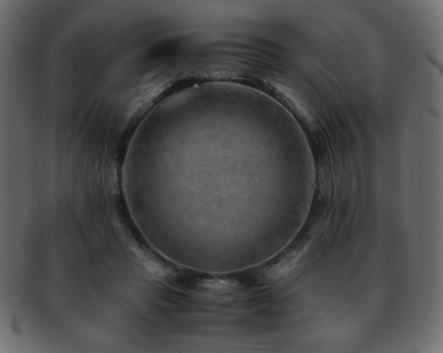 X0000093120453200709261331