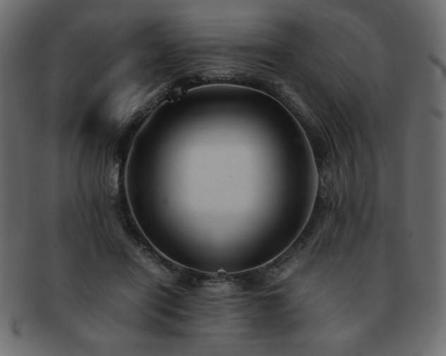X0000093120454200709261331