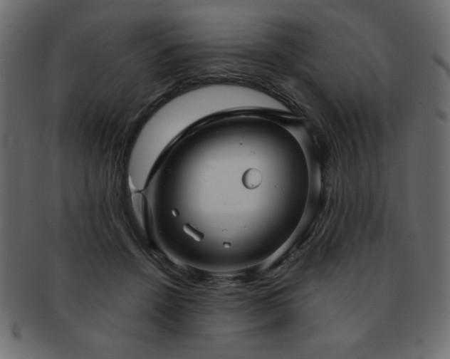 X0000093120456200709261331