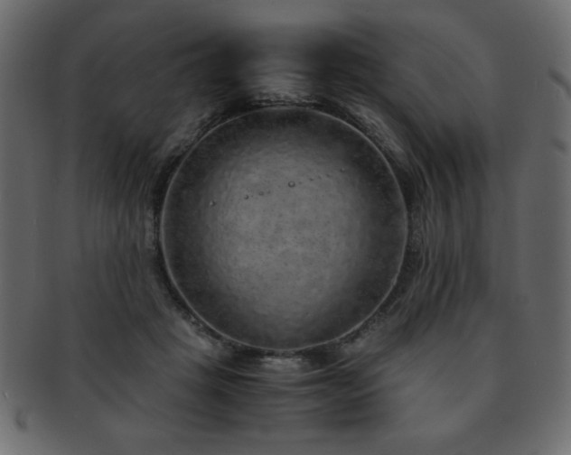 X0000093120457200709261331