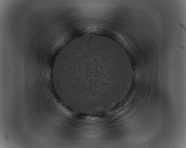 X0000093120458200709261331
