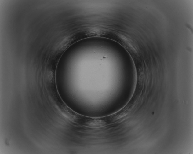 X0000093120459200709261331