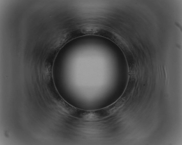 X0000093120460200709261331