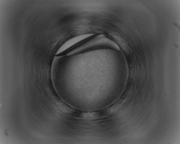 X0000093120461200709261331