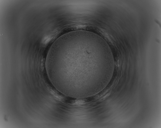 X0000093120462200709261331