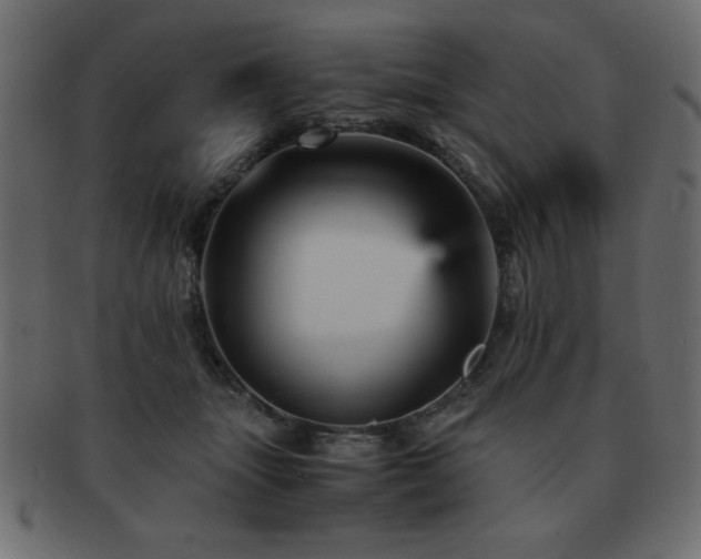 X0000093120463200709261331