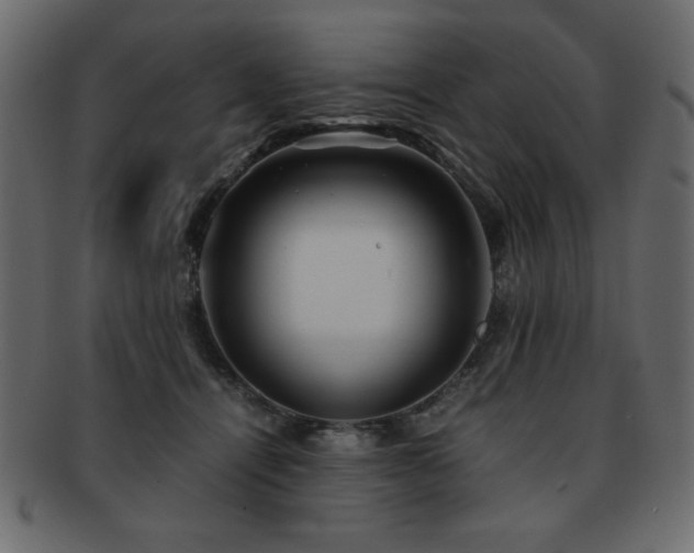 X0000093120464200709261331