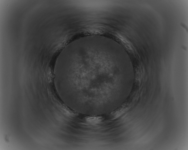 X0000093120465200709261331