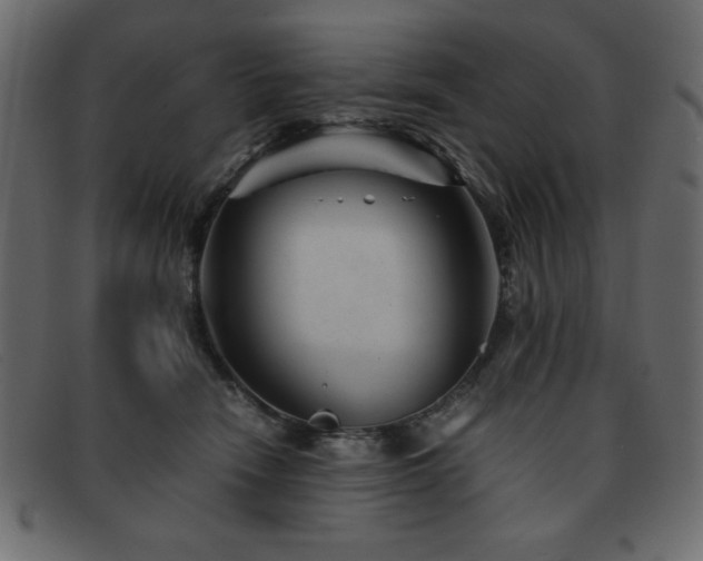 X0000093120466200709261331
