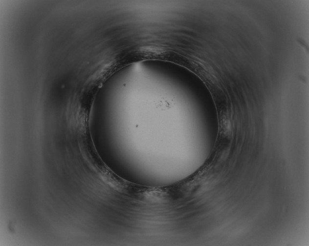 X0000093120468200709261331
