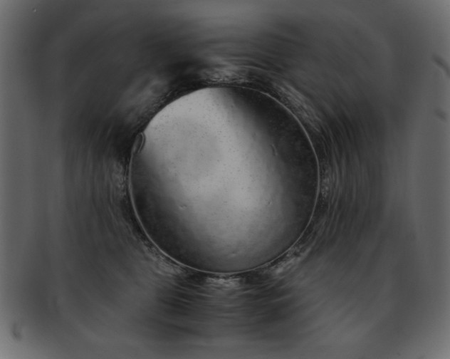 X0000093120469200709261331