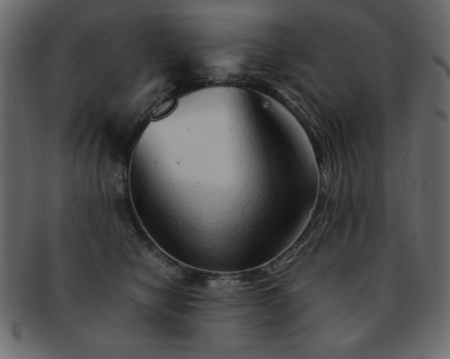 X0000093120470200709261331