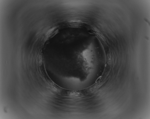 X0000093120471200709261331