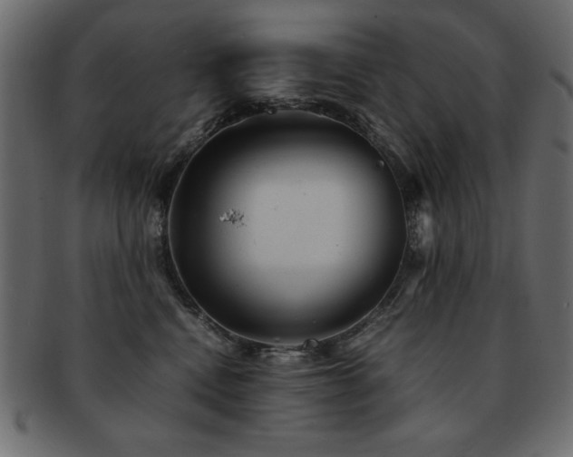 X0000093120472200709261331