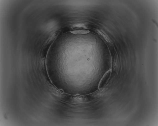 X0000093120473200709261331