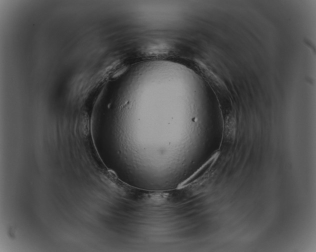 X0000093120474200709261331