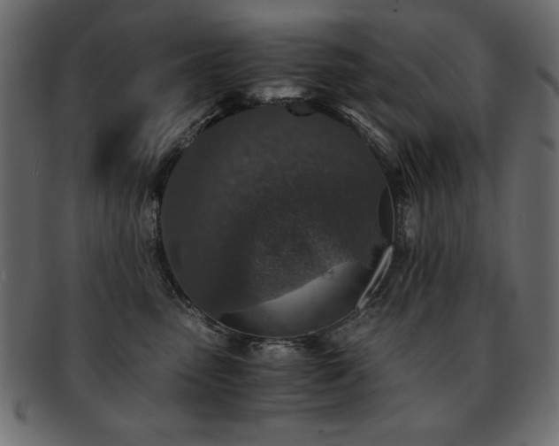 X0000093120475200709261332